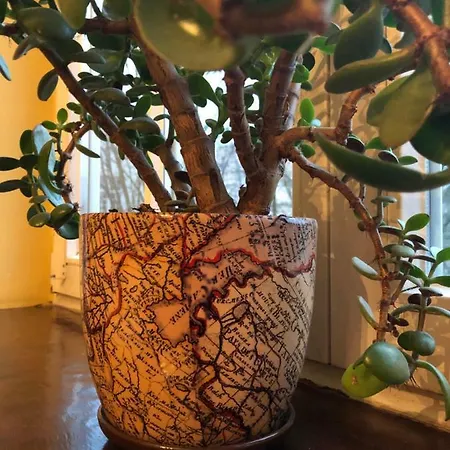 Apartament Teatralny * Gdansk